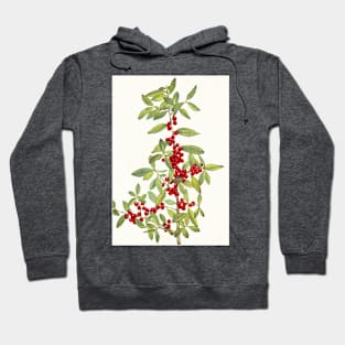 Yaupon holly - Botanical Illustration Hoodie